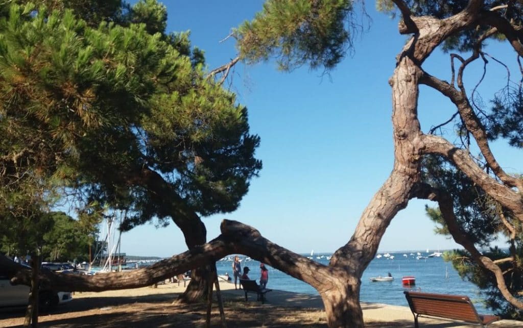 plage-villa-algerienne