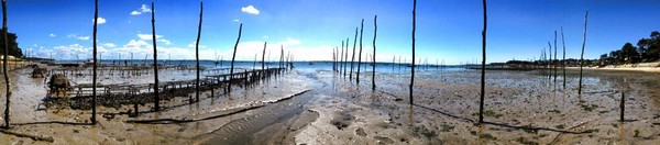 visite bassin arcachon visite bassin arcachon, travailler au bassin arcachon, saisonnier à arcachon