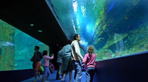 musee-de-la-mer-biarritz