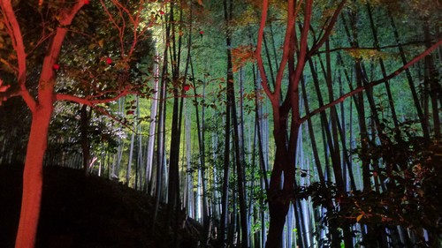 lumiere-Kodai-ji-kyoto lumiere-Kodai-ji-kyoto