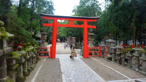 porte-wakamiya-shrineparc-nara porte-wakamiya-shrineparc-nara