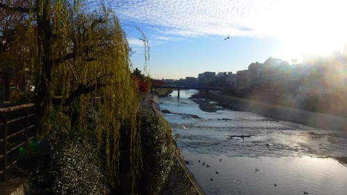 riviere-kyoto-visite riviere-kyoto-visite