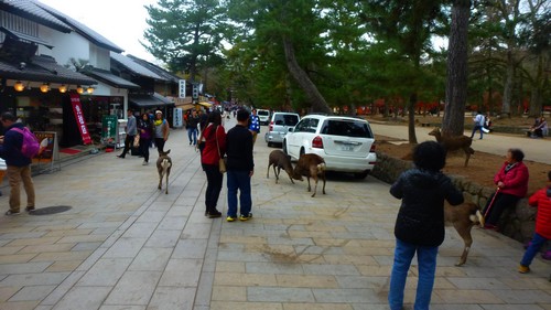 rue-nara-daim rue-nara-daim