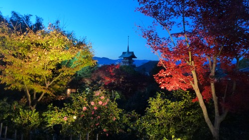 temple-Kodai-ji temple-Kodai-ji