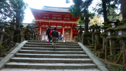 visite-wakamiya-shrine