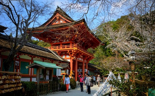 visiter-Kamigamo-jinja