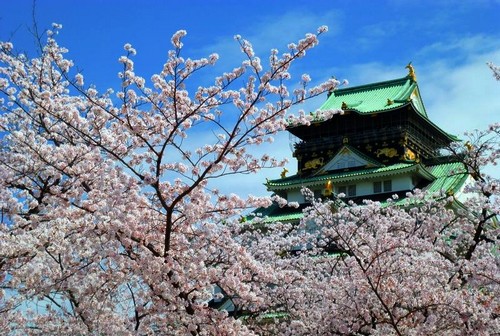 visiter-chateau-osaka