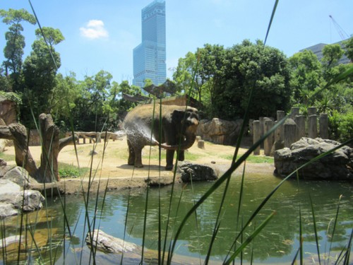 visiter-zoo-Tennoji-osaka visiter-zoo-Tennoji-osaka