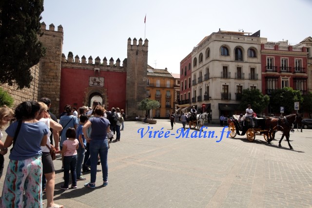 billet-coupe-file-alcazar