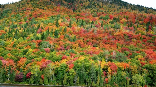 laurentides-mont-kaaikop laurentides-mont-kaaikop