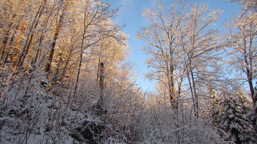 randonnee-laurentides