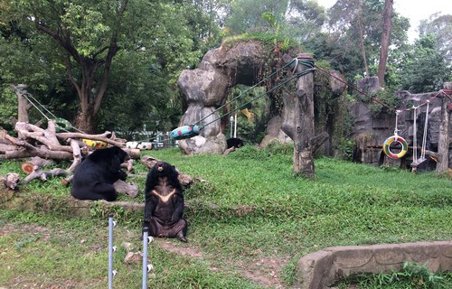 zoo-ho-chi-minh