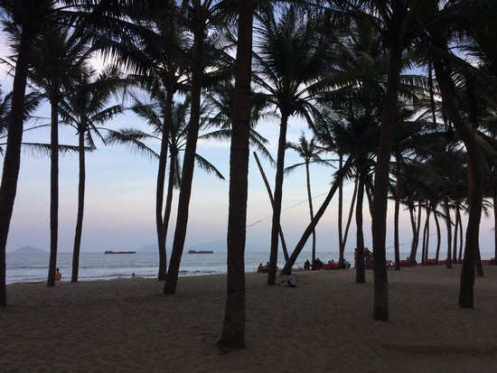 plage-hoi-an-palmier