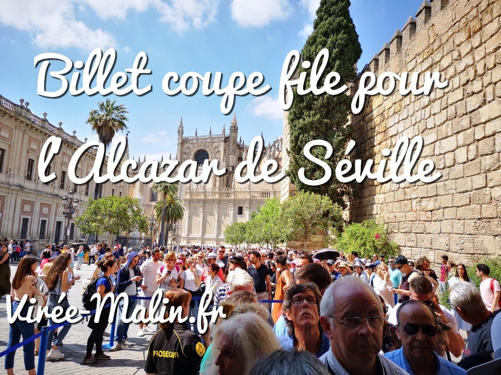 entree-coupe-file-alcazar-seville