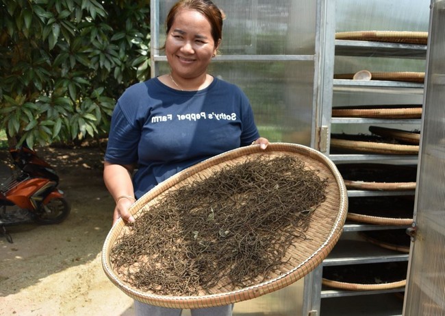 ferme-poivre-kep-Sothy-Pepper-Farm