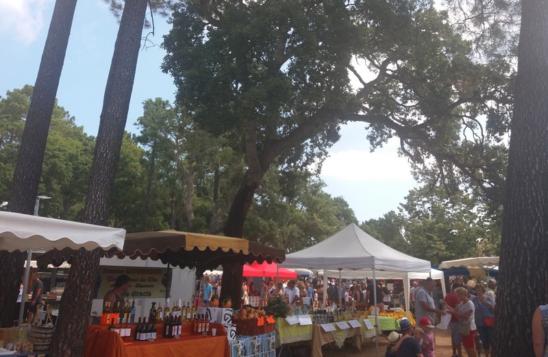 marche-de-lecci-route-vers-vallee-cavu-corse