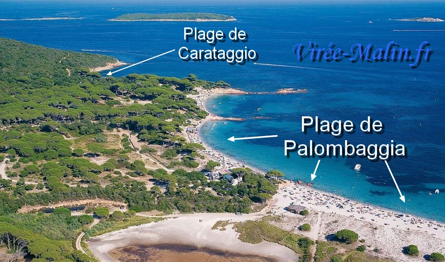 plage-de-palombaggia-porto-vecchio-corse