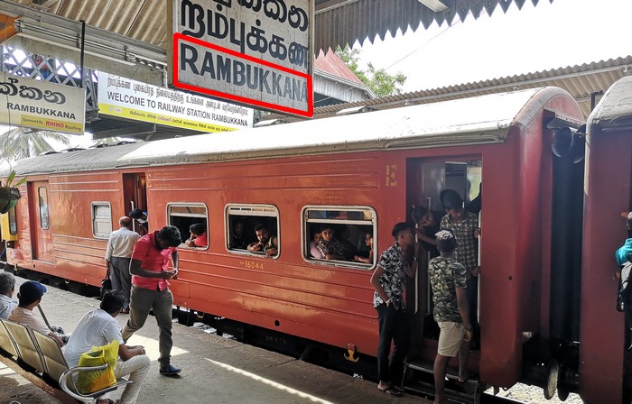 rejoindre-pinnawala-depuis-colombo