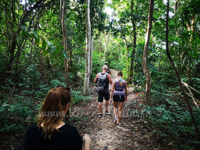 Trekking-randonnee-koh-phi-phi-activite