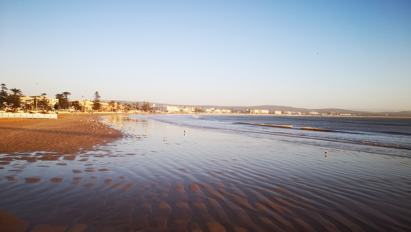 plage-surf-essaouira