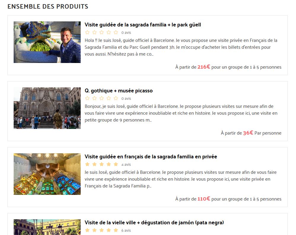 proposer-visite-guidee-internet