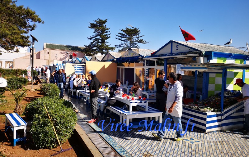 baraque-poisson-essaouira