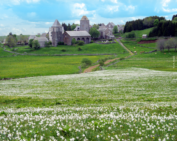 averyon-visite-Aubrac