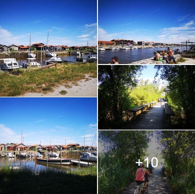 visiter-la-teste-de-buch-bassin-arcachon