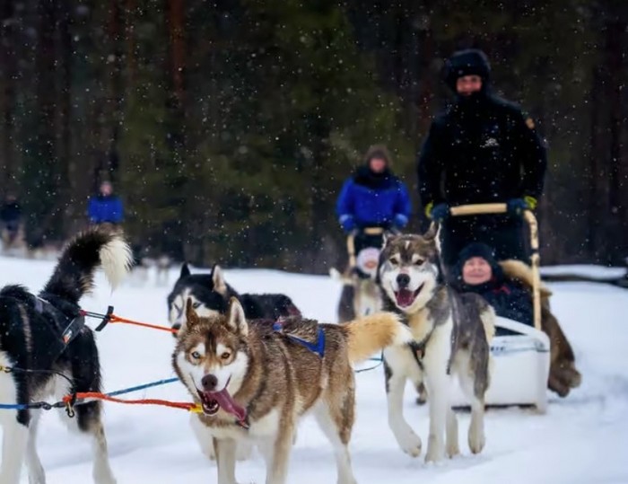 meilleures-activites-Rovaniemi