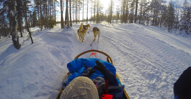 ou-loger-rovaniemi-pour-faire-activites-motoneige-chien-traineau