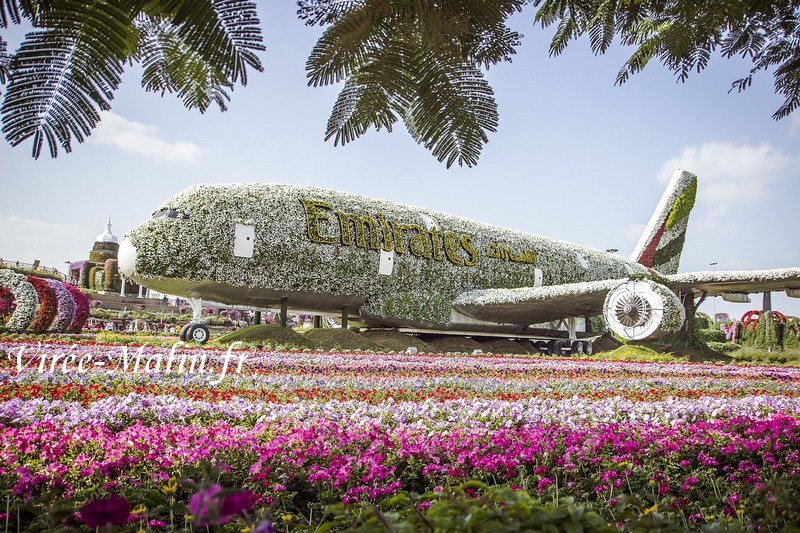 que-faire-dubai-miracle-garden