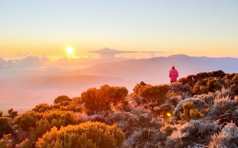 randonnee-Le-Trou-de-Fer-la-reunion