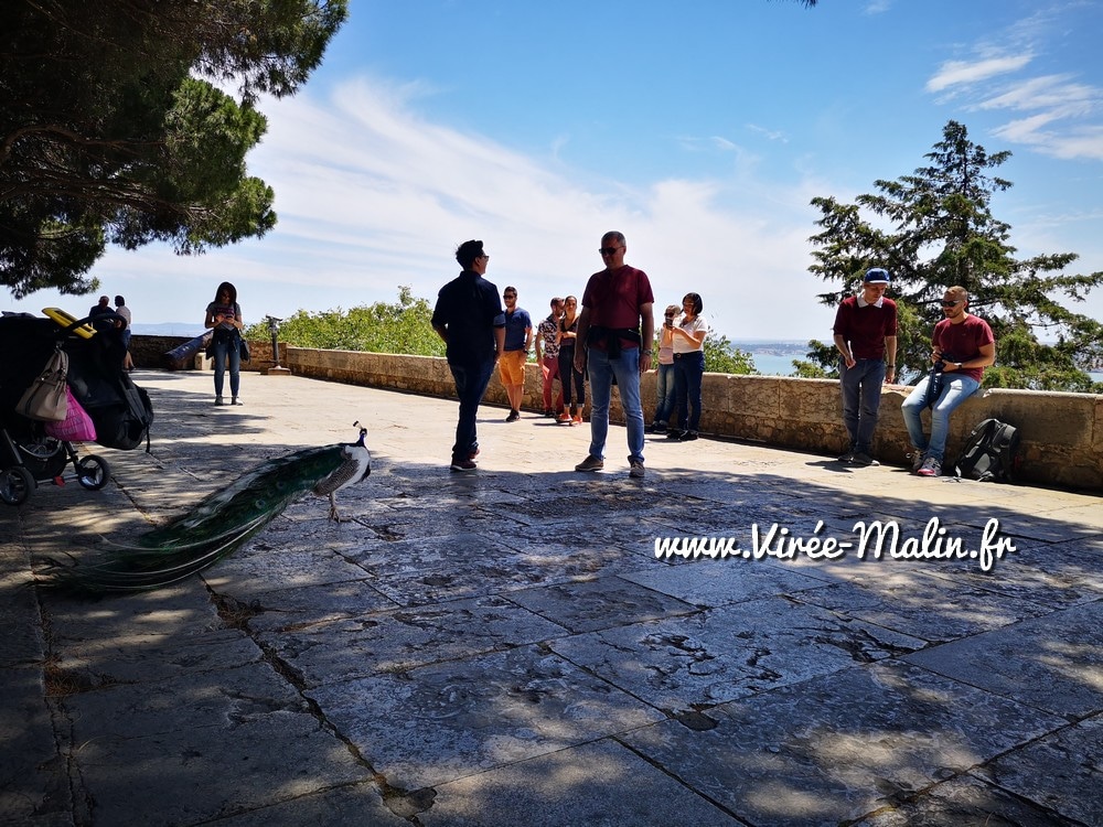 canon-chateau-saint-georges-lisbonne