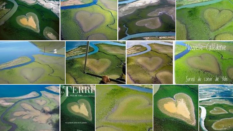 comment-voir-coeur-de-voh-nouvelle-caledonie