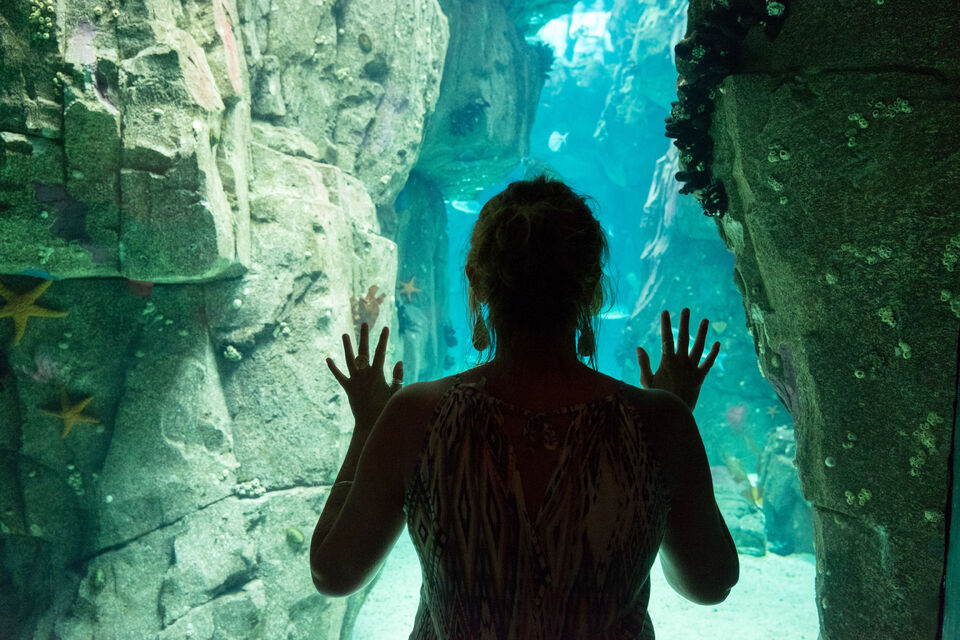 activite-lisbonne-oceanarium