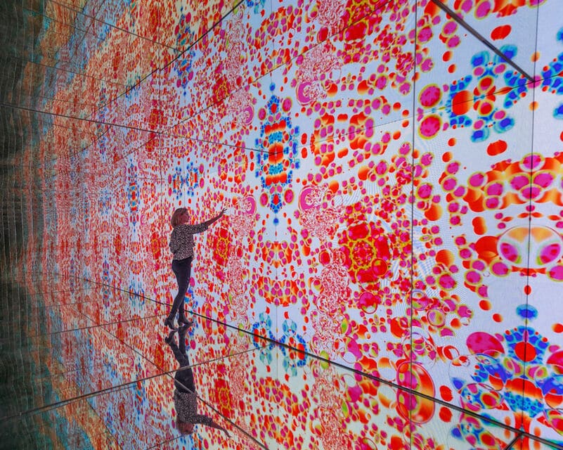 activite-musee-amsterdam-musee-moco-art-contemporain