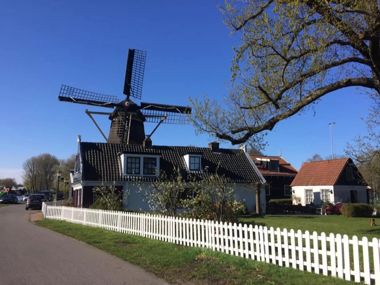 activite-velo-moulin-amsterdam-en-velo