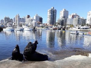 Que visiter en Uruguay : Itinéraire de 10 jours pour visiter l’Uruguay