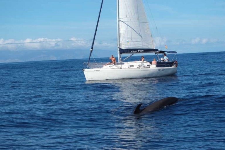 ecocroisiere-yacht-de-luxe