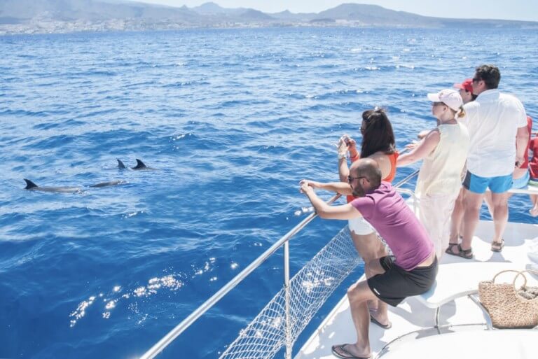 excursion-bateau-tenerife