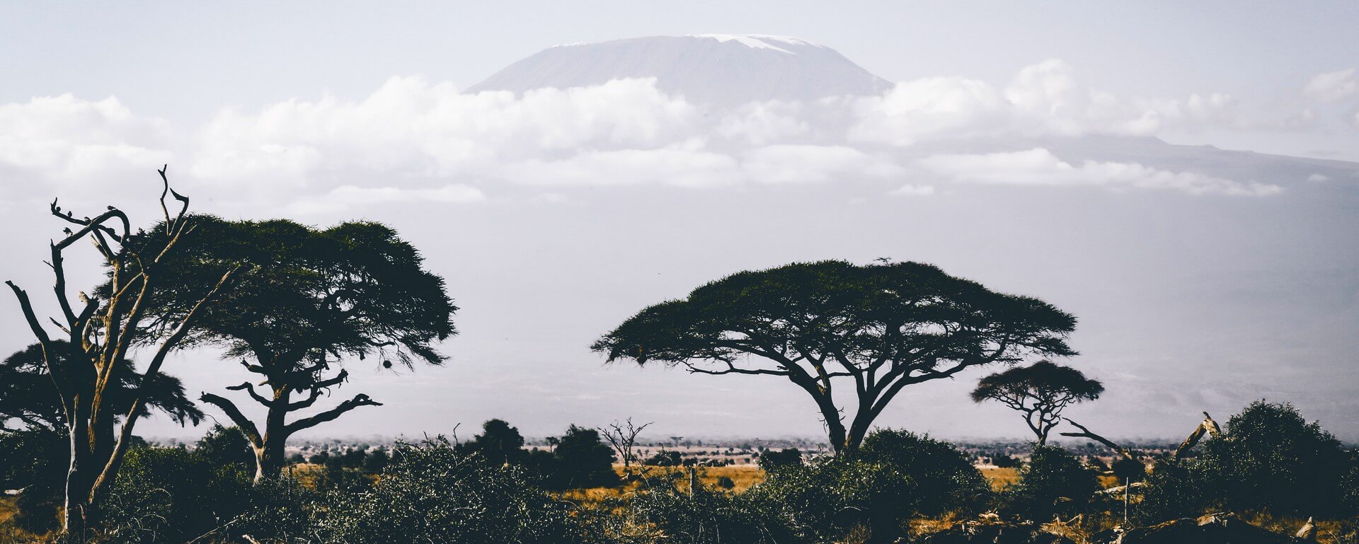 ou-partir-voyager-afrique