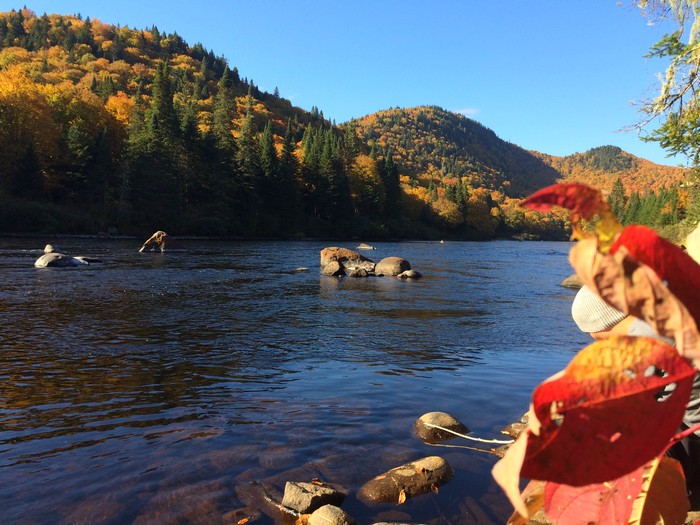 Les meilleurs itinéraires pour visiter le Québec en 2 semaines