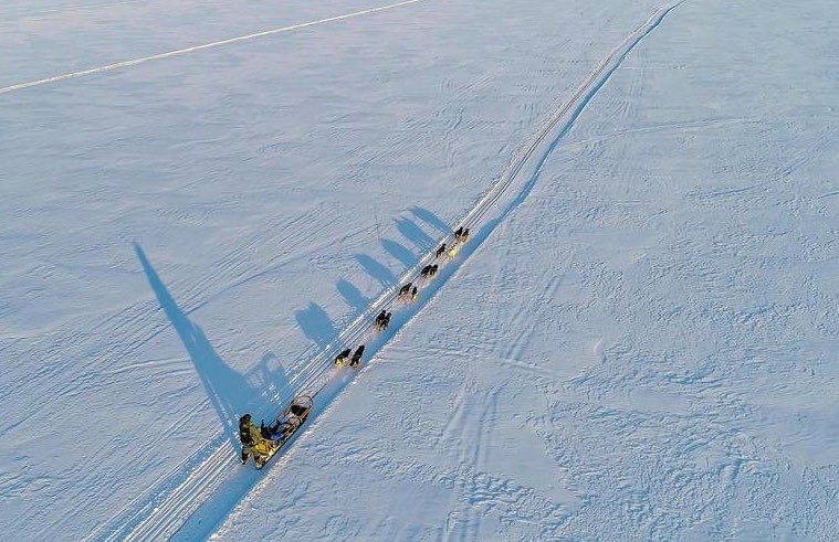 faire-du-chien-de-traineau-rovaniemi