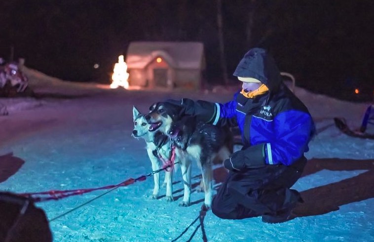 soiree-avec-chien-de-traineau-laponie