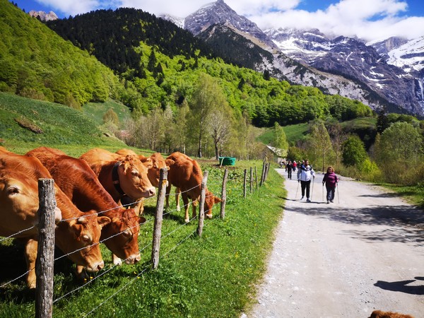 Hautes-Pyrenees-pour-eviter-chaleur-ete