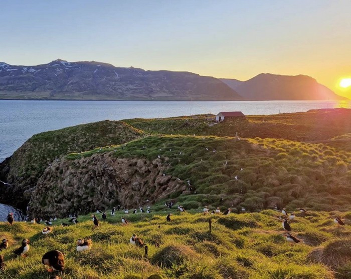 destination-europeenne-Islande-pas-de-canicule