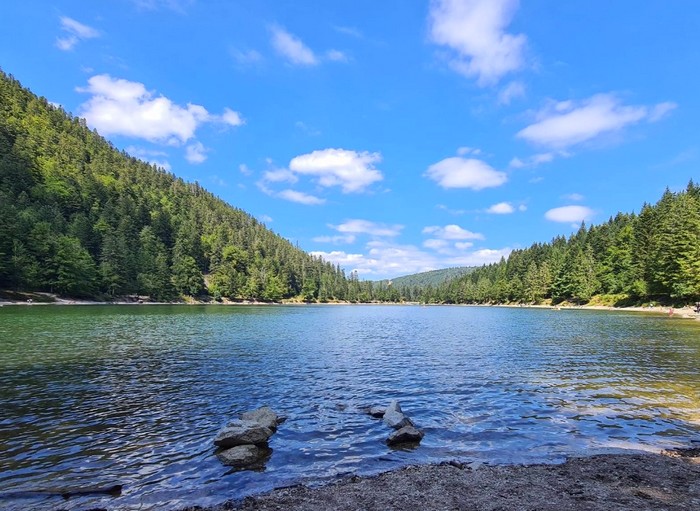 les-Vosges-pour-eviter-canicule-bonne-idee