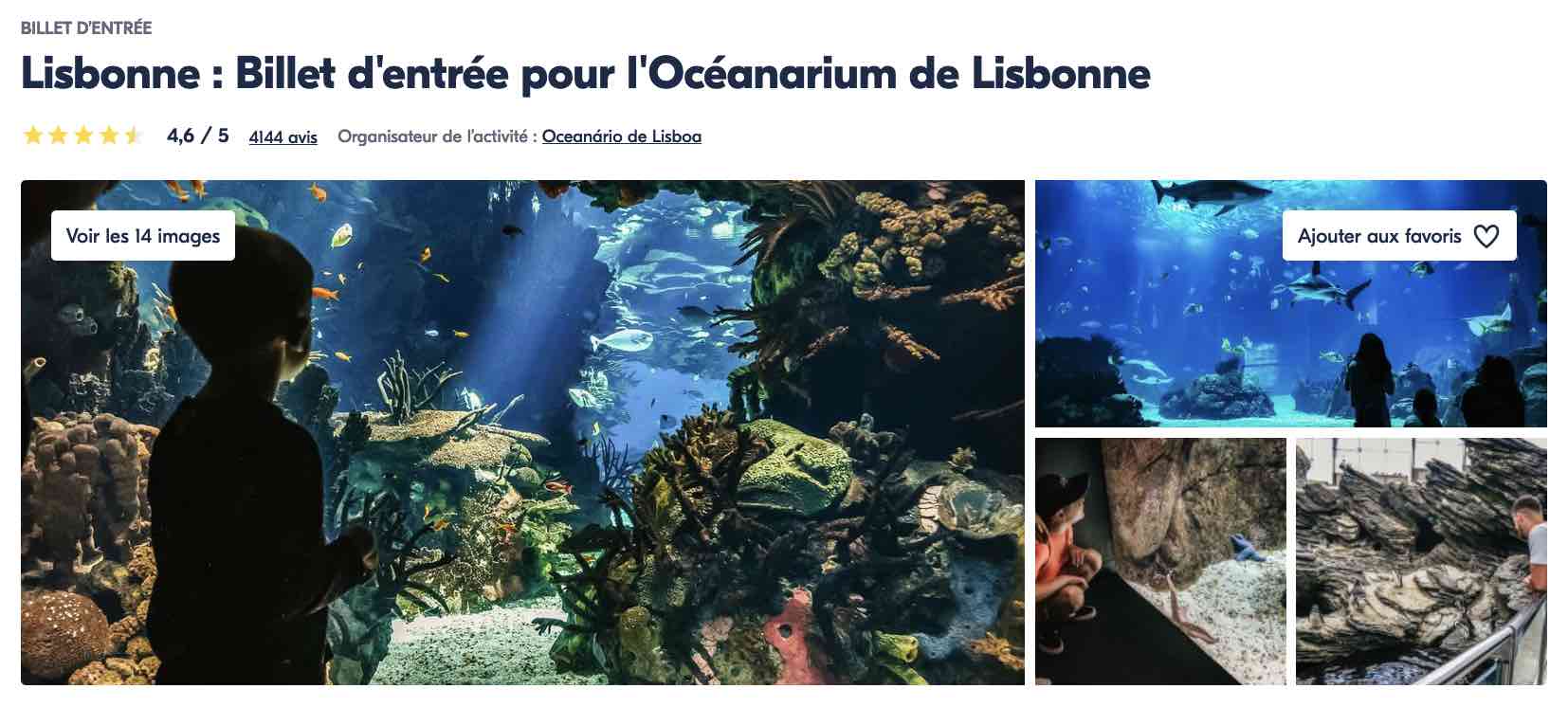 billet-coupe-file-aquarium-oceanarium-lisbonne