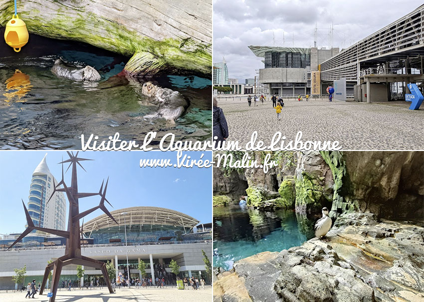 conseils-pour-visiter-aquarium-de-lisbonne