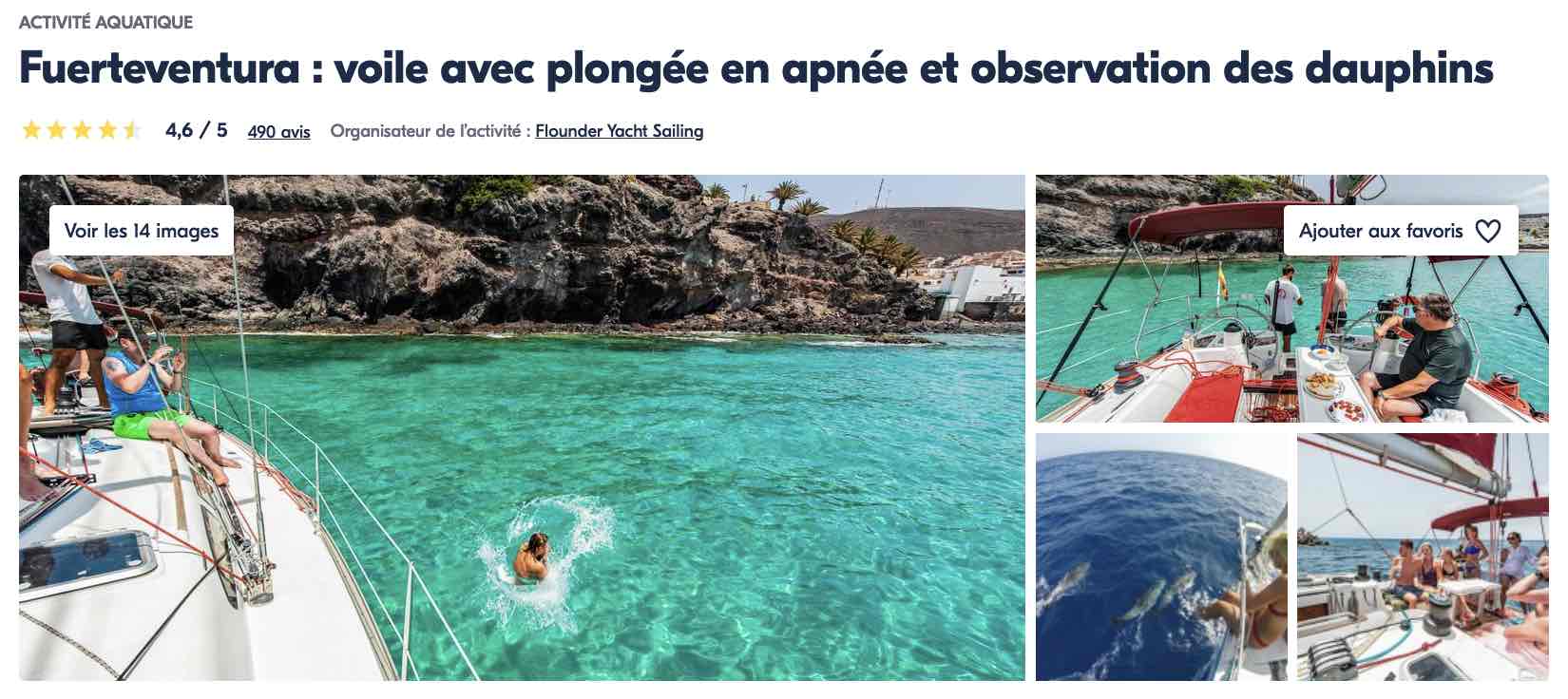 fuerteventura-plongee-en-apnee-nage-dauphins